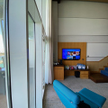 Decently sized TV