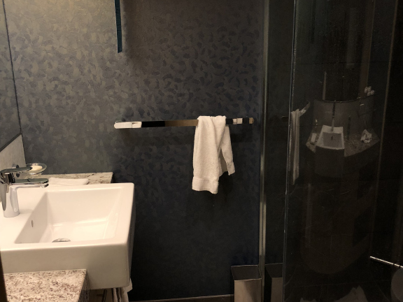Downstairs Bathroom
