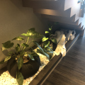 Plant Lighting under Staircase