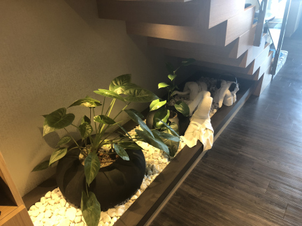 Plant Lighting under Staircase