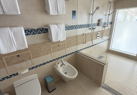 Master Bathroom - Bidet + Shower