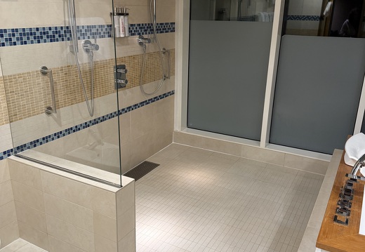 Master Bathroom - Large open shower