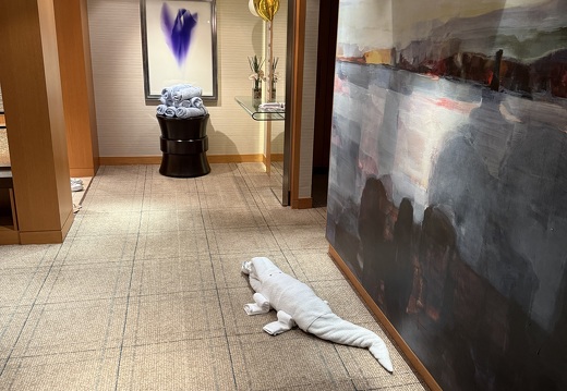 Living Room / Piano area