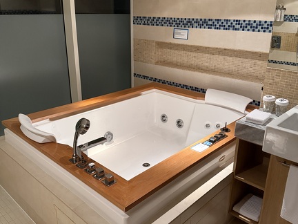 Master Bathroom - Jacuzzi Tub