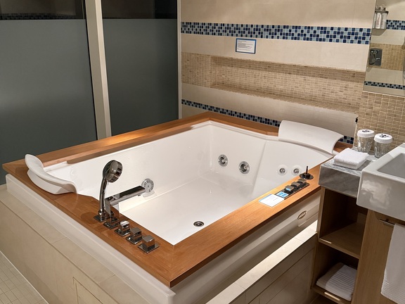 Master Bathroom - Jacuzzi Tub