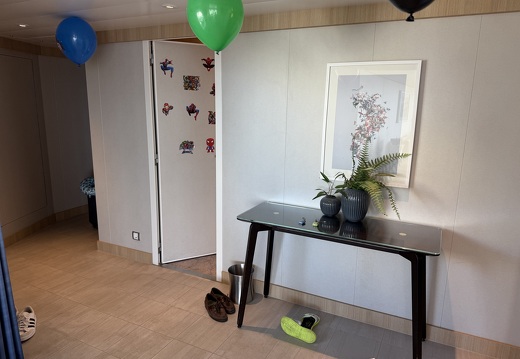 Foyer / Entrance Area