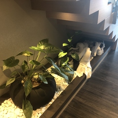 Plant Lighting under Staircase