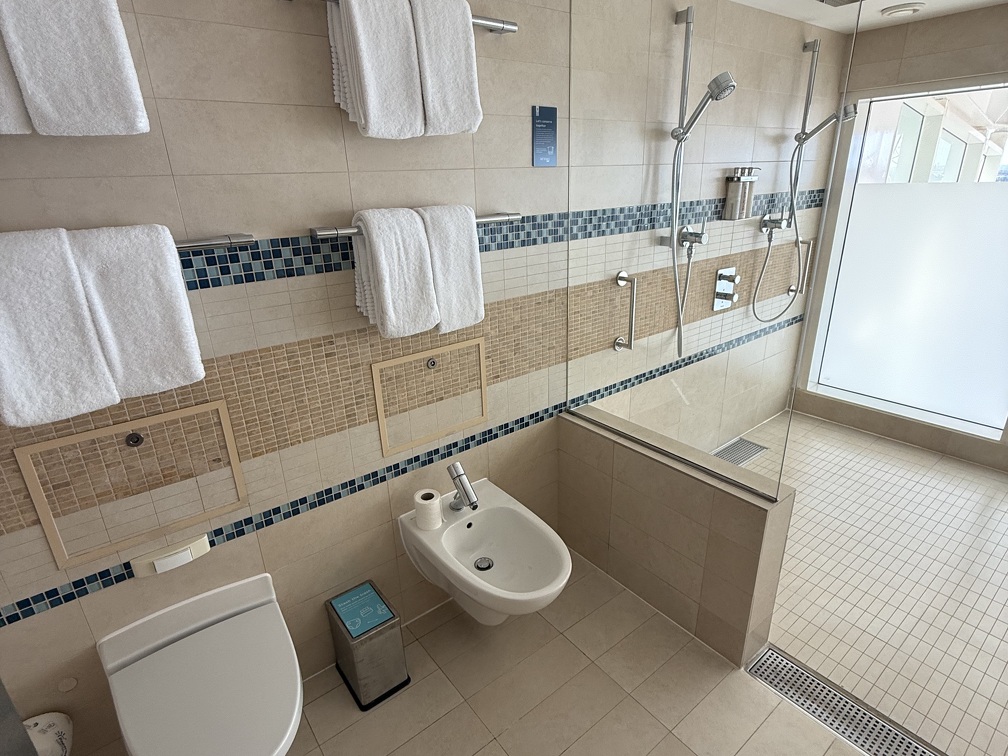 Master Bathroom - Bidet + Shower