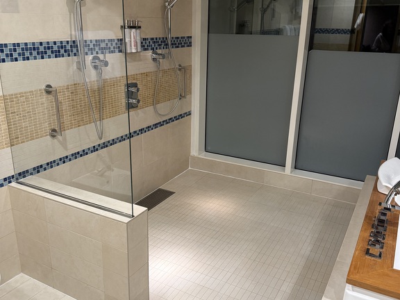 Master Bathroom - Large open shower