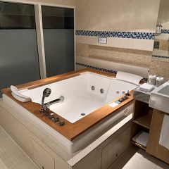 Master Bathroom - Jacuzzi Tub