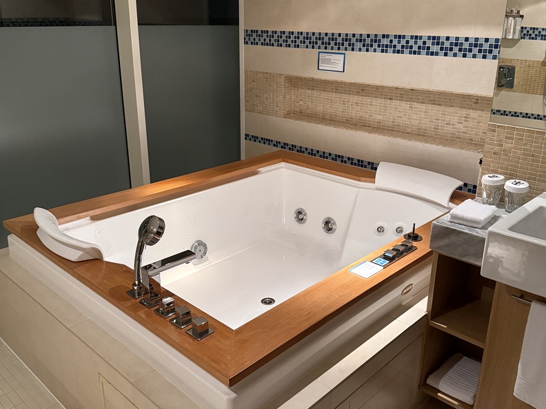 Master Bathroom - Jacuzzi Tub
